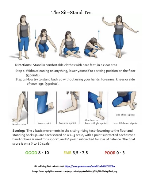 the sit stand test (pdf)